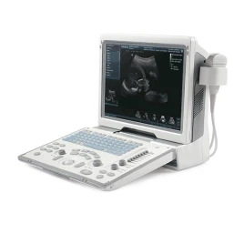 УЗИ аппарат Mindray DP-50 Vet