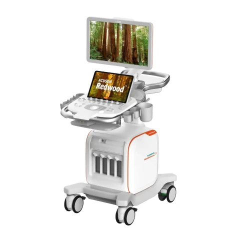 Ультразвуковая система Siemens ACUSON Redwood фото 1