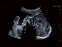 фото 6